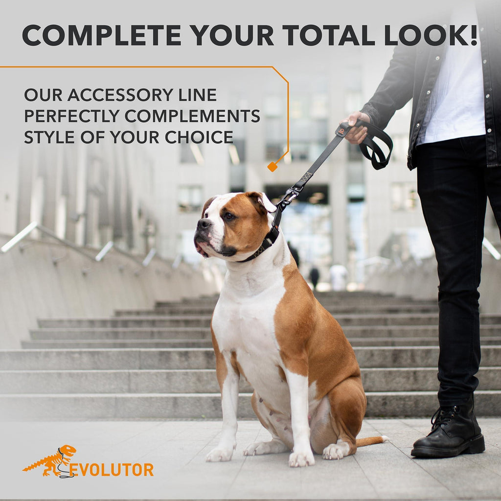 Heavy Duty Dog Leash Black