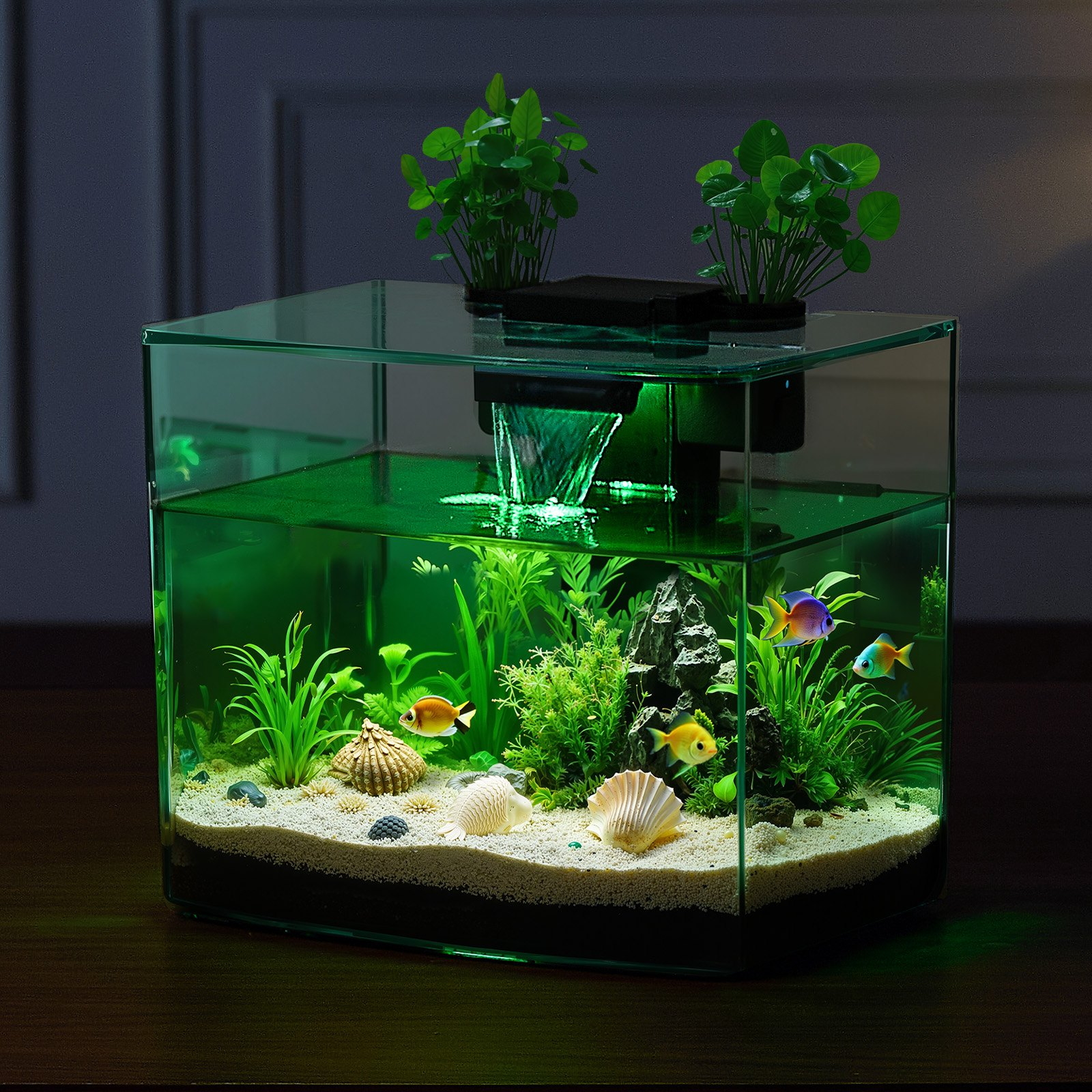 81962205