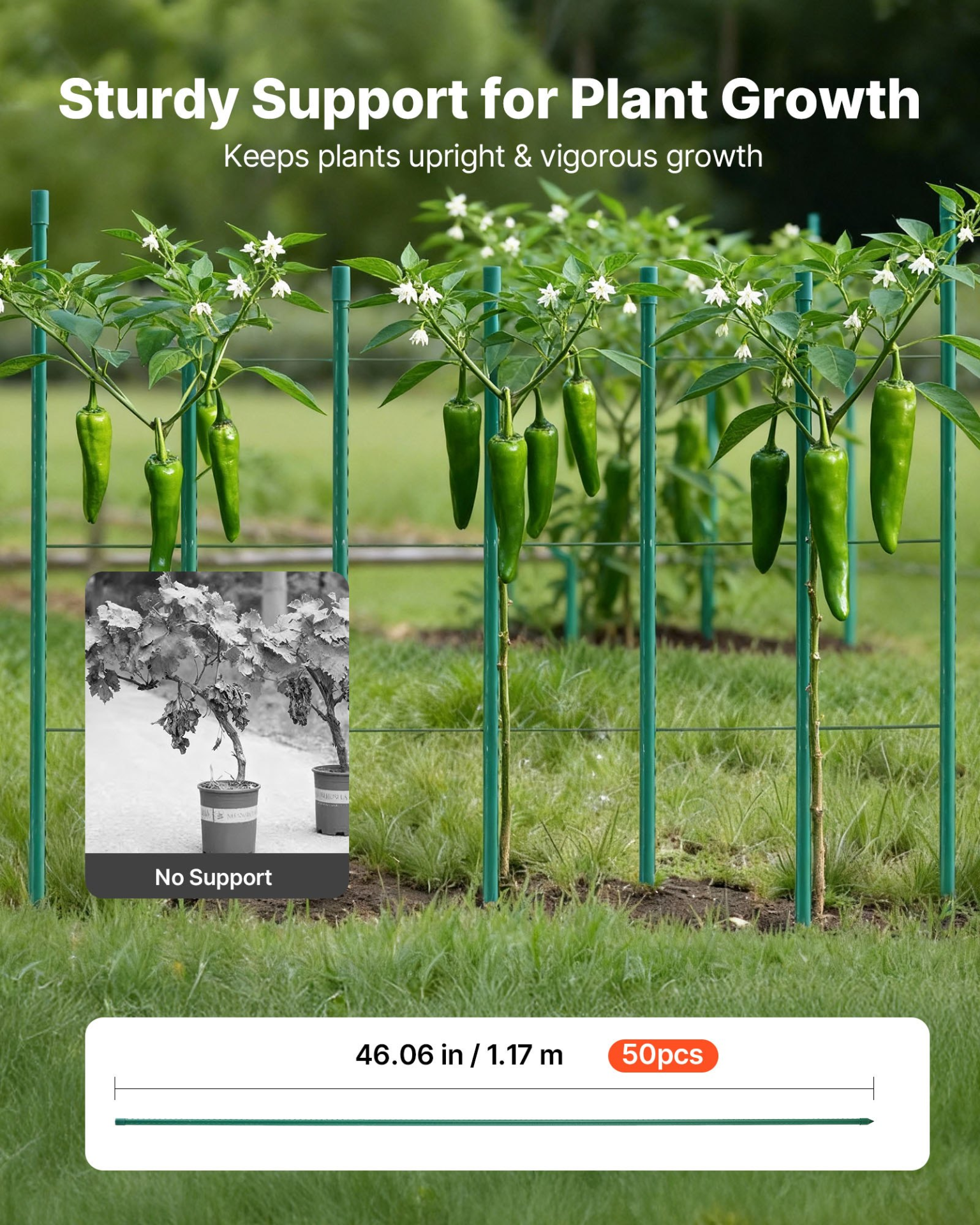 81944769