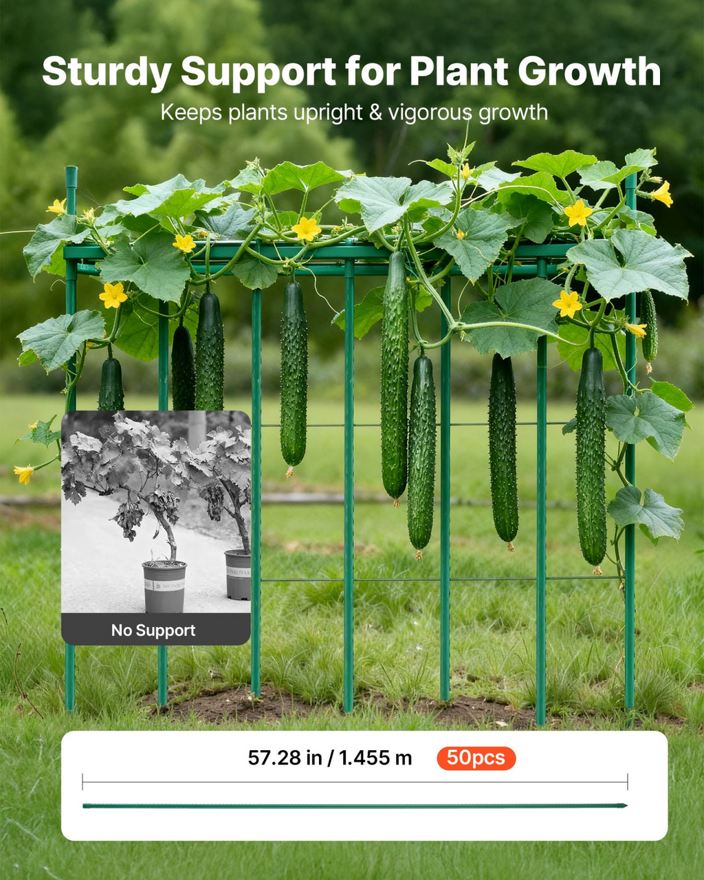 81950140