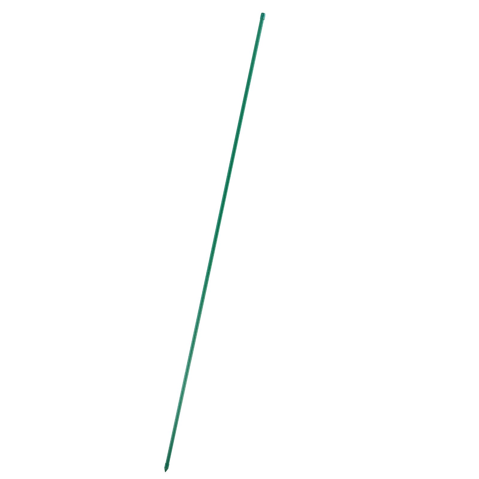 81950159