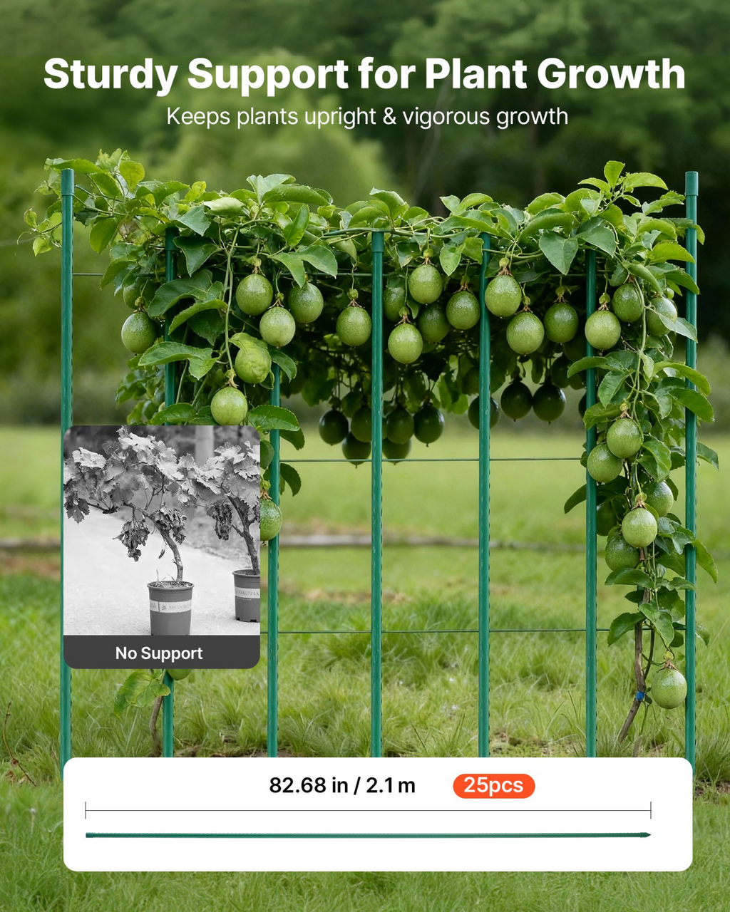 81944789