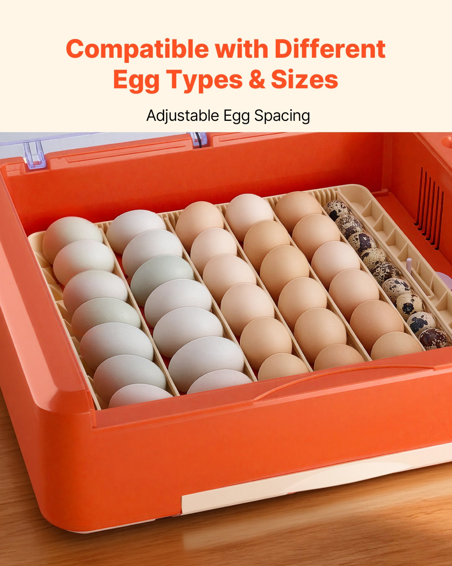 81939966