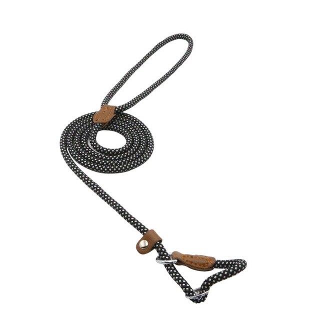 Nylon Dog Walk Set