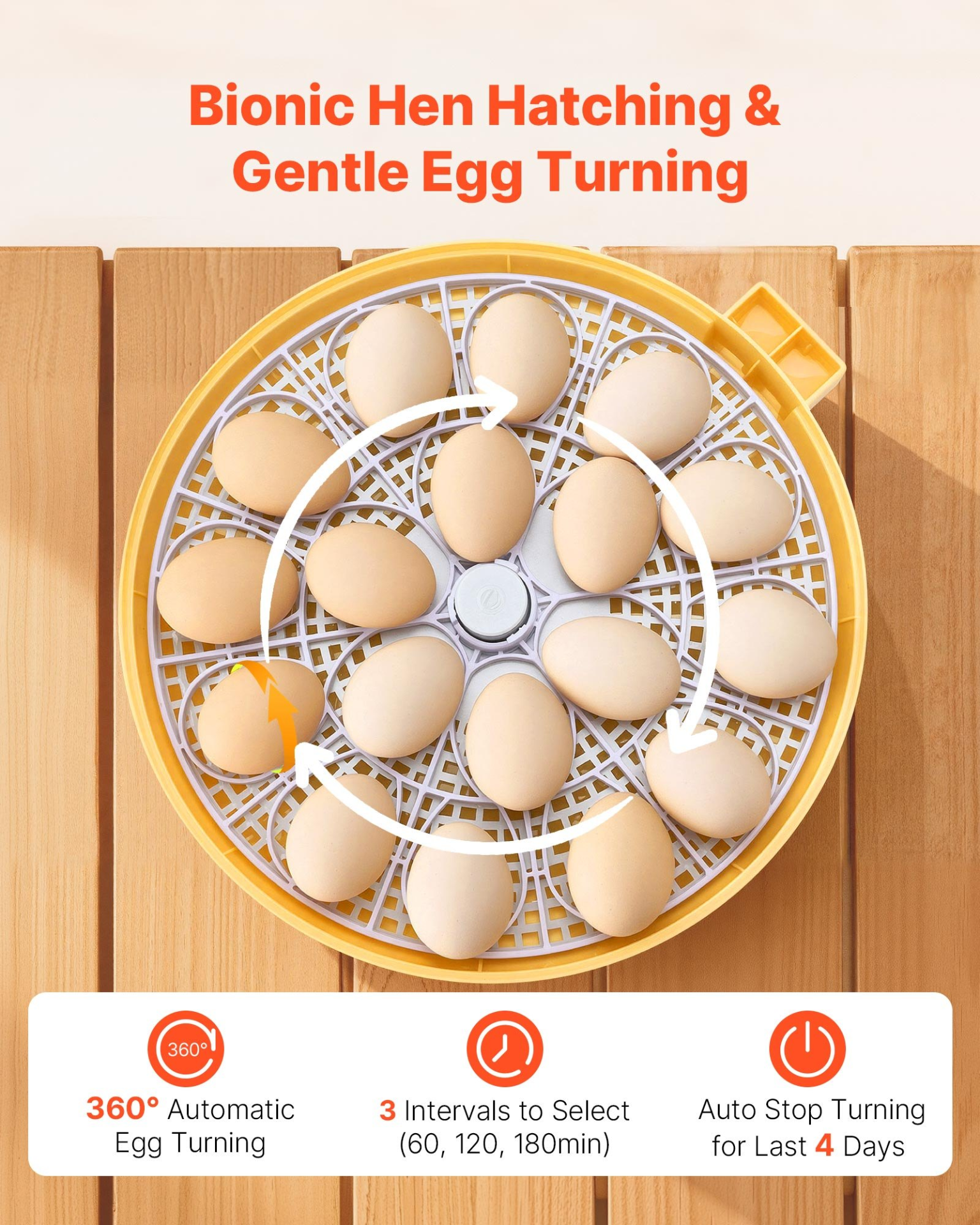 81939990