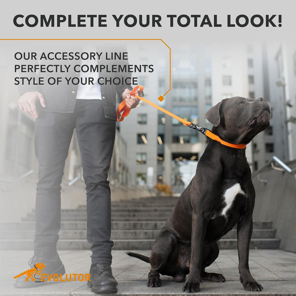 Heavy Duty Dog Leash Orange