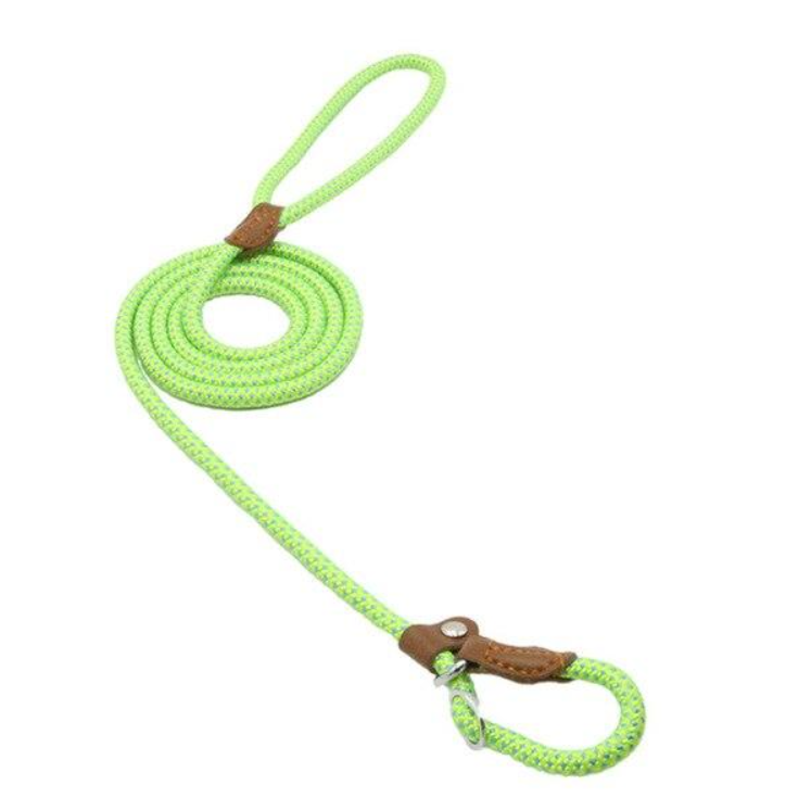 Nylon Dog Walk Set