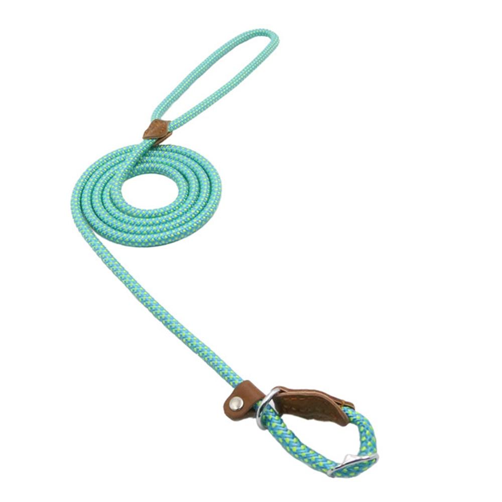 Nylon Dog Walk Set