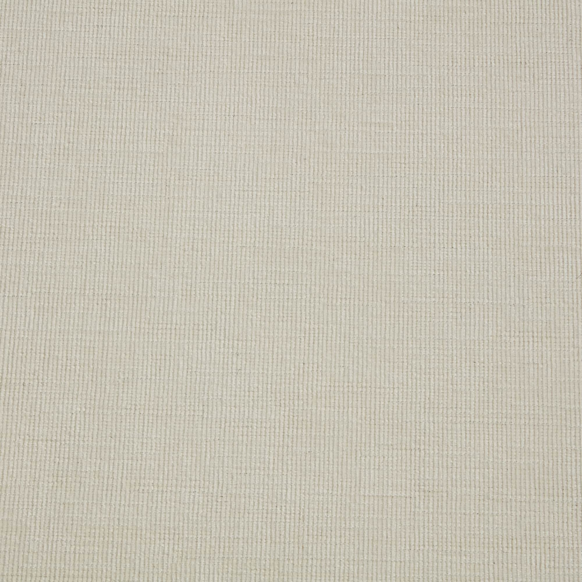81900141