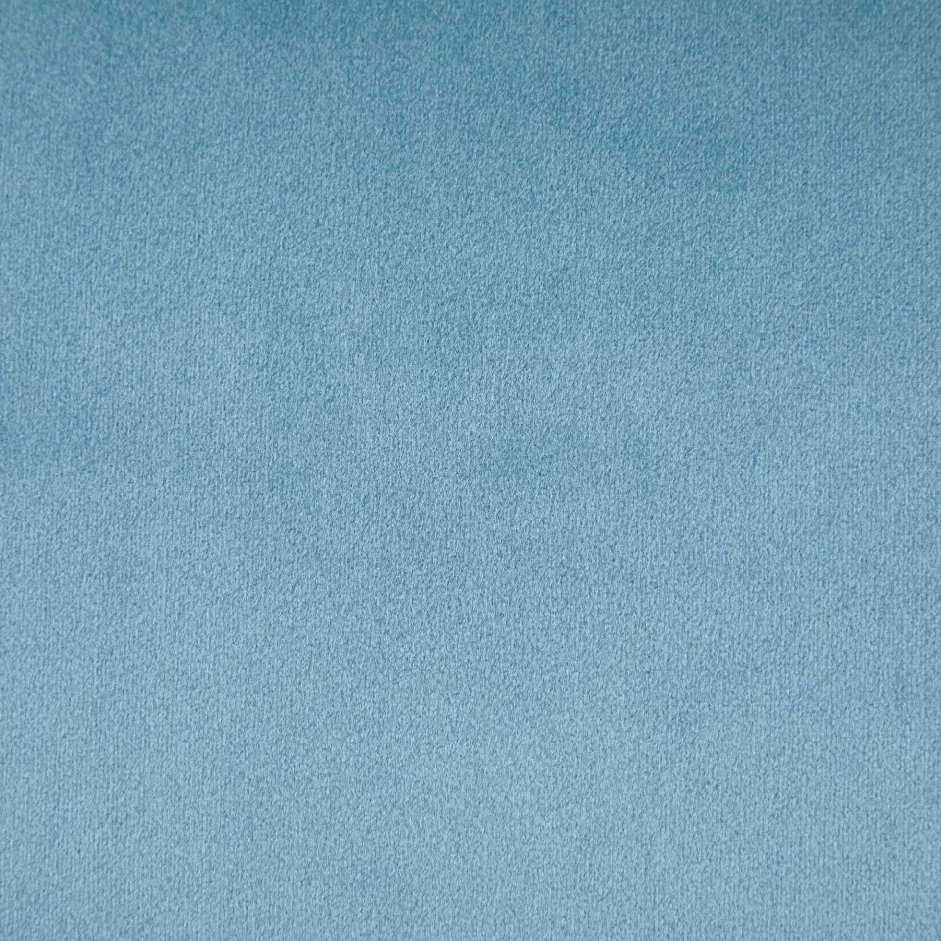 81901643