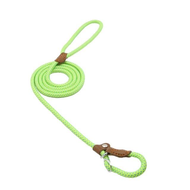 Nylon Dog Walk Set