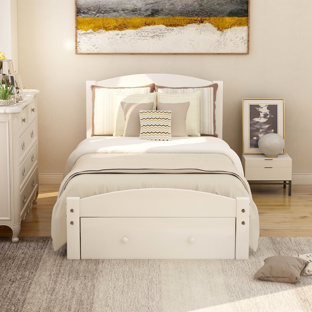 81900464