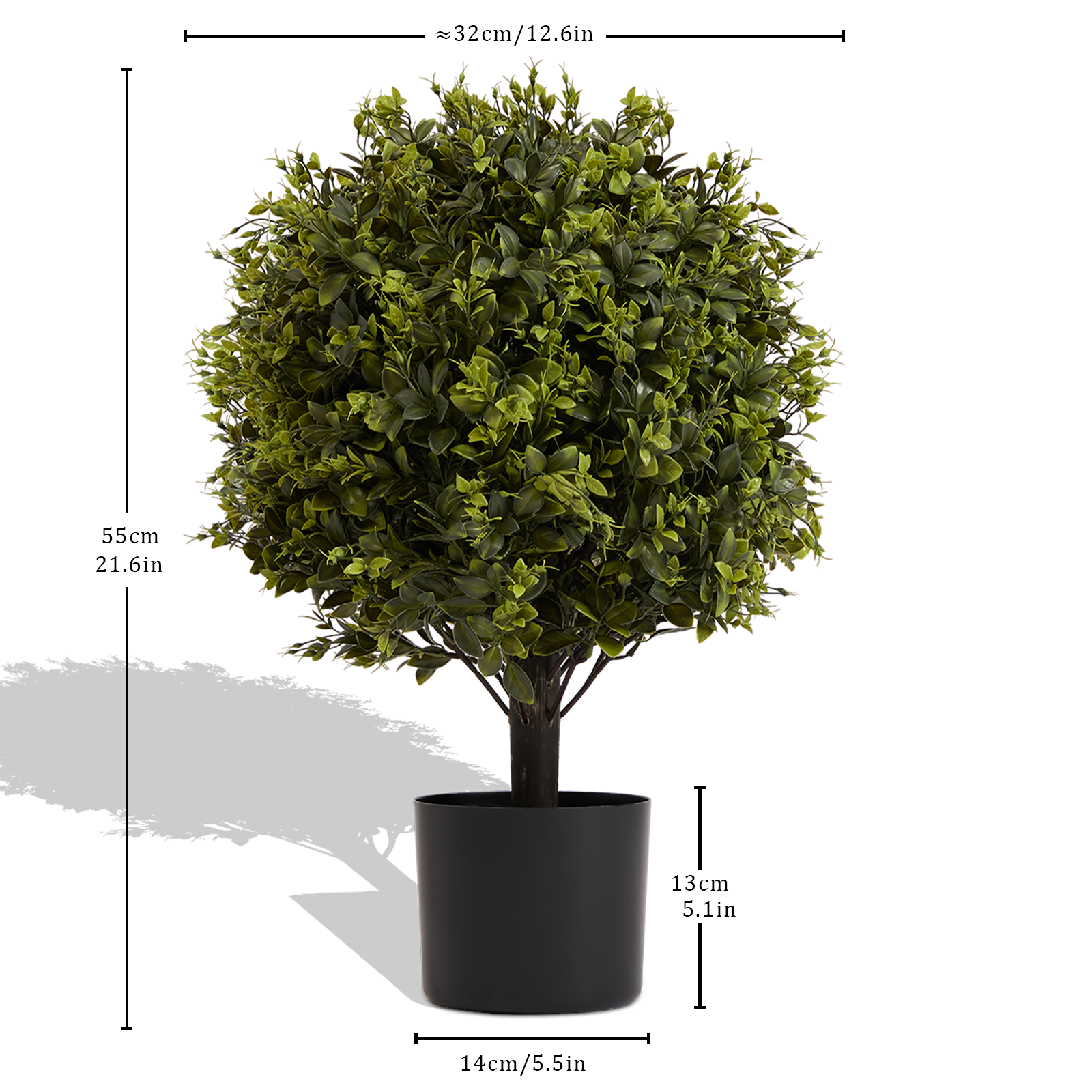 81909575