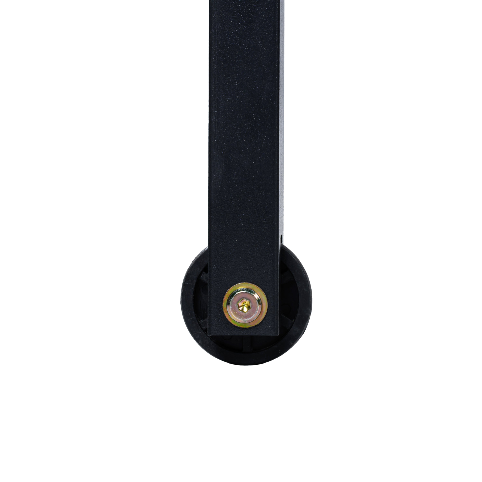 81980585