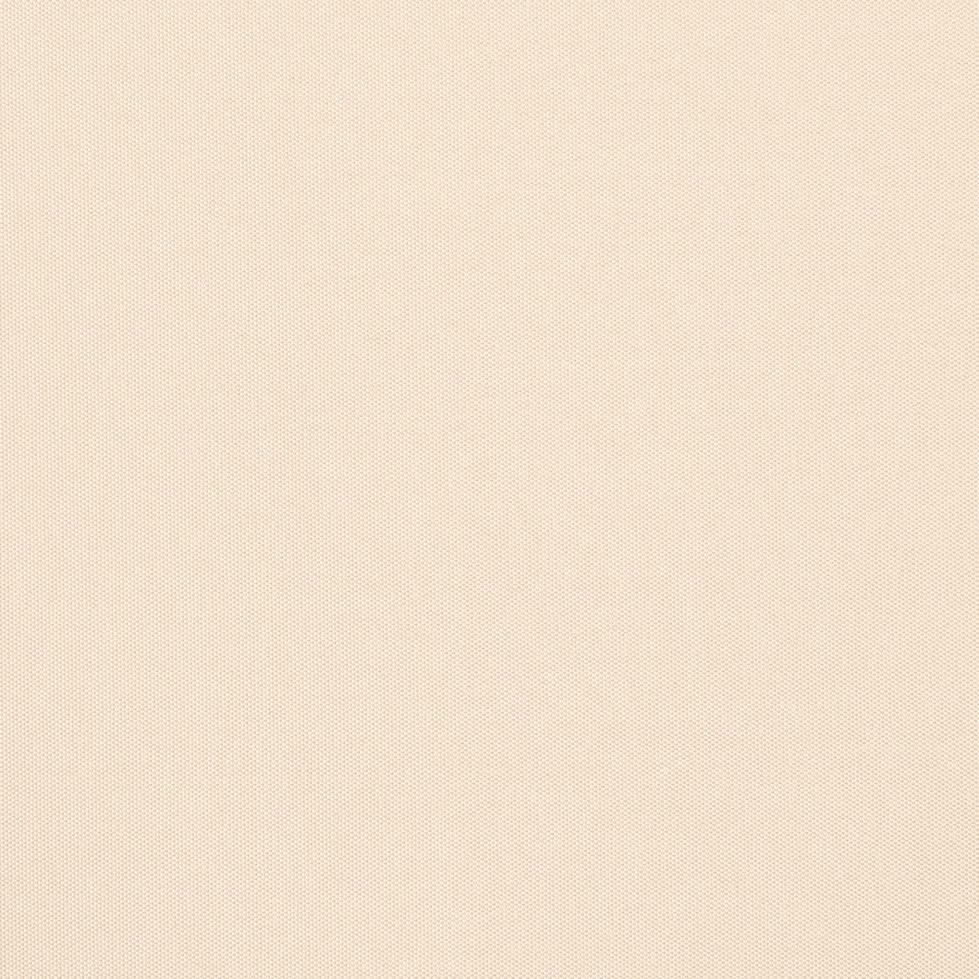 81931147