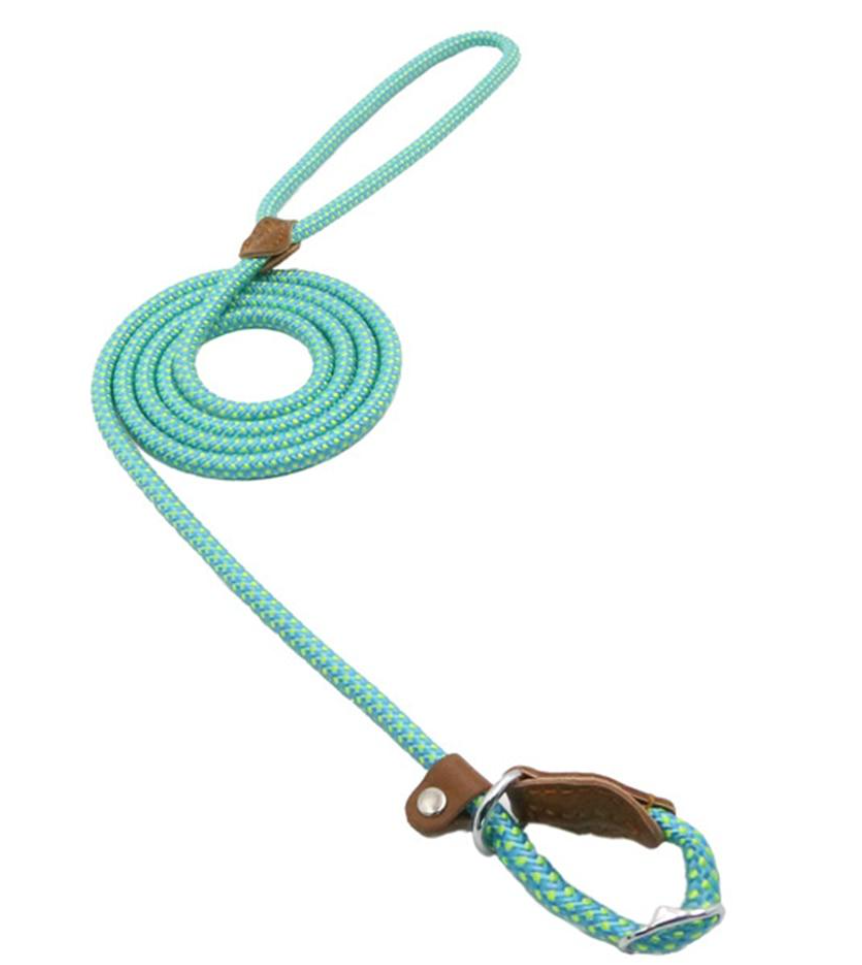 Nylon Dog Walk Set