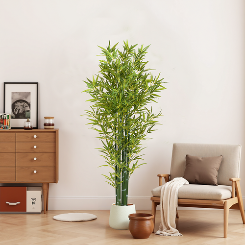 81915534