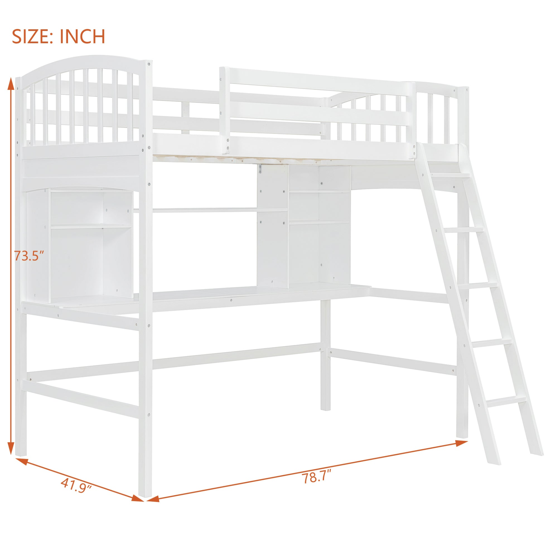 81933855