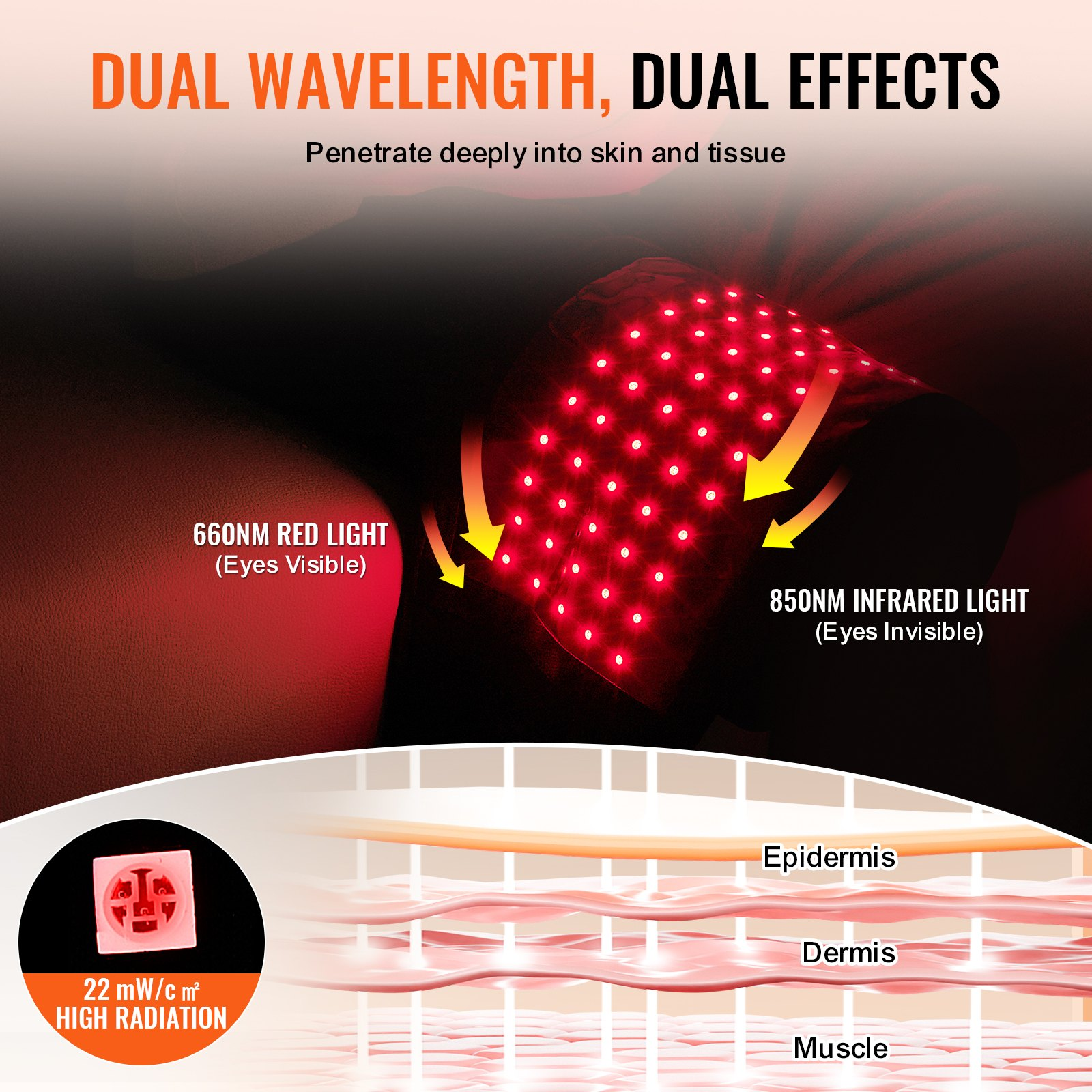 81954820
