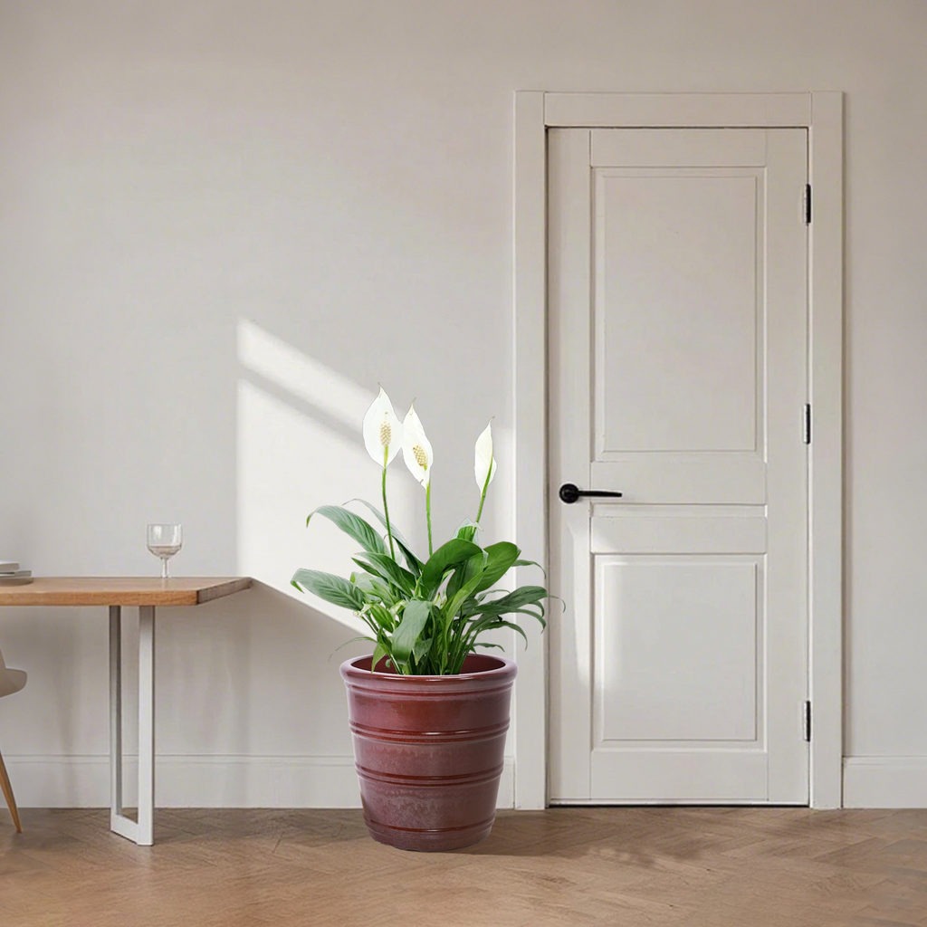 81912736