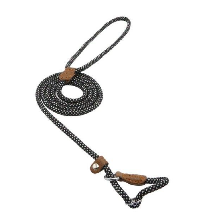 Nylon Dog Walk Set