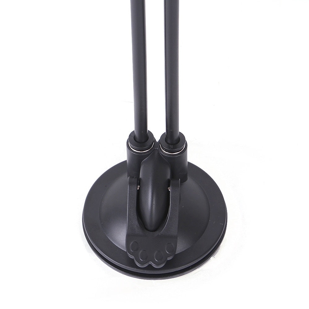 Suction Cat Teaser Toy