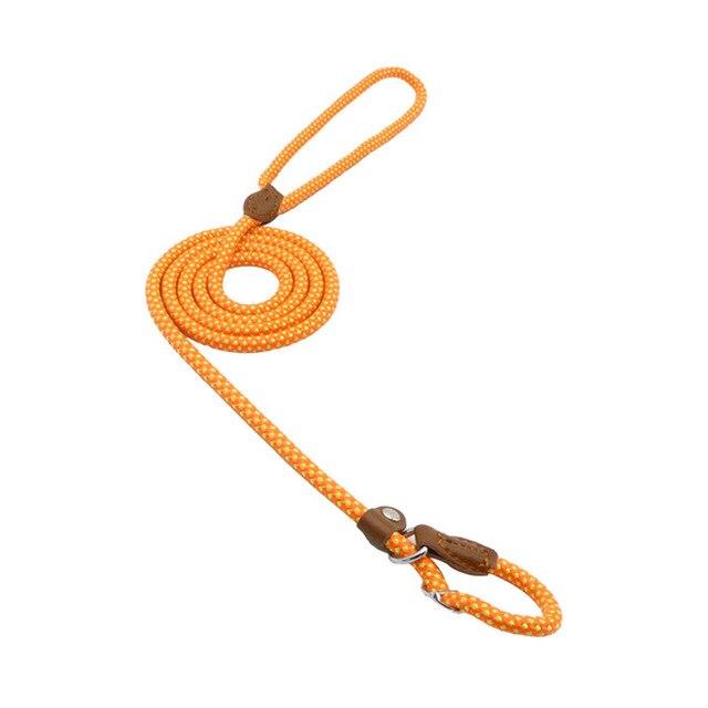 Nylon Dog Walk Set