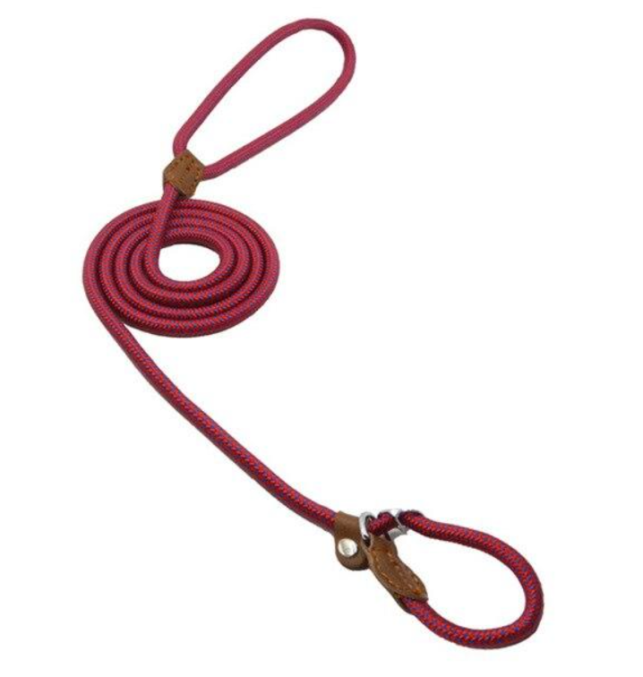 Nylon Dog Walk Set
