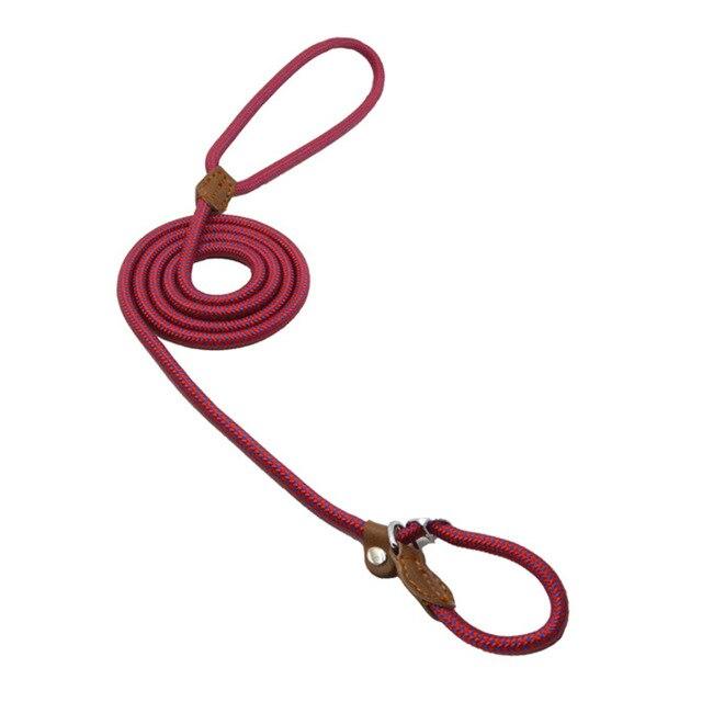 Nylon Dog Walk Set