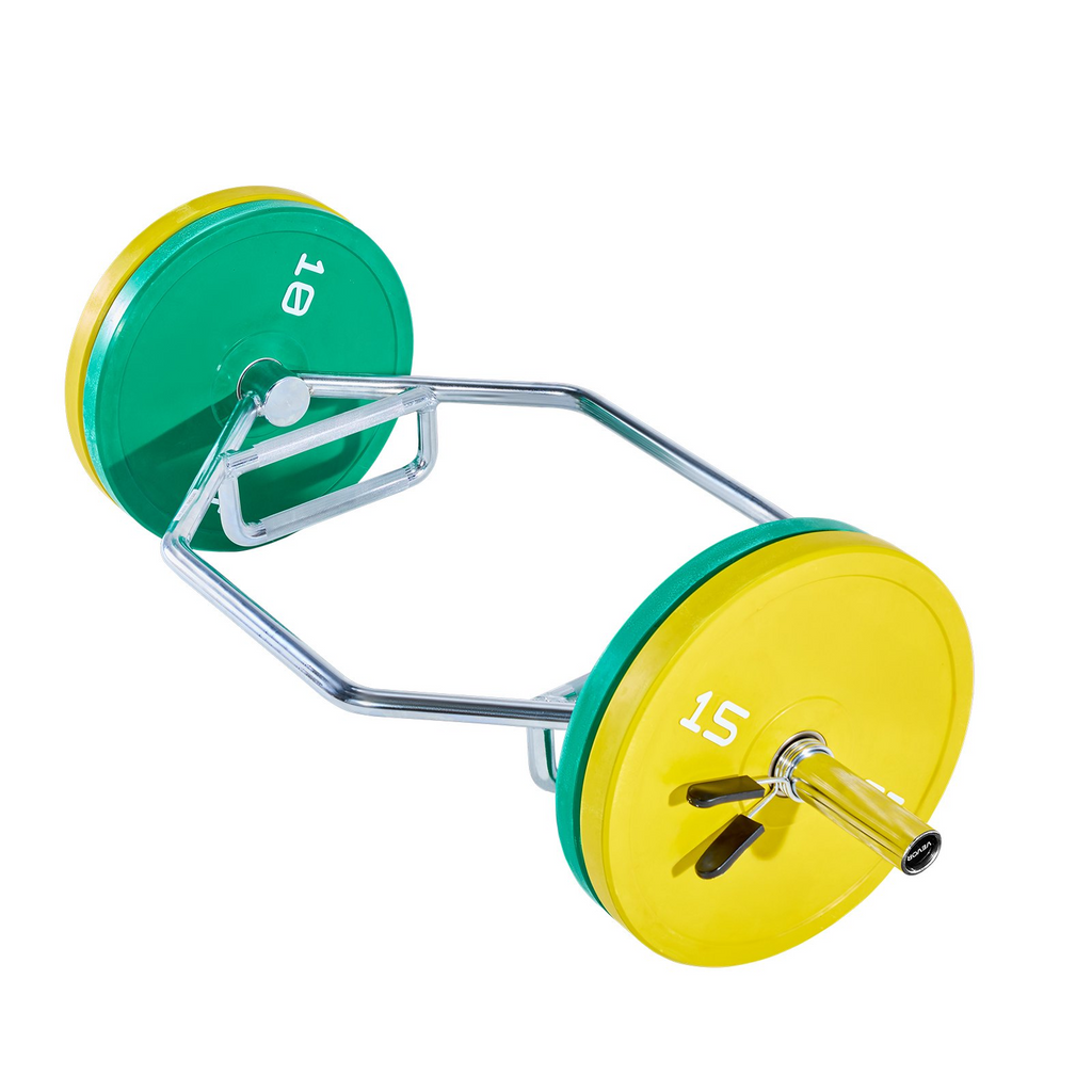 81941617