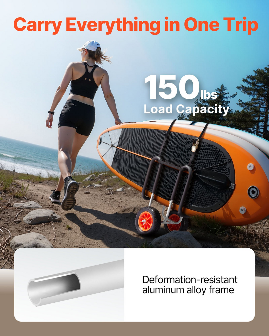 81946781