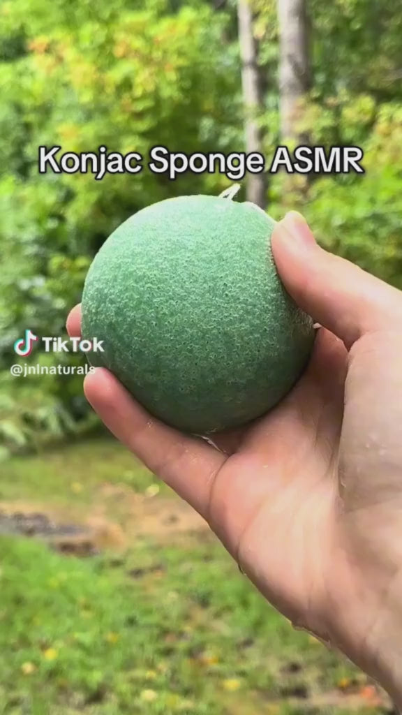 81894380