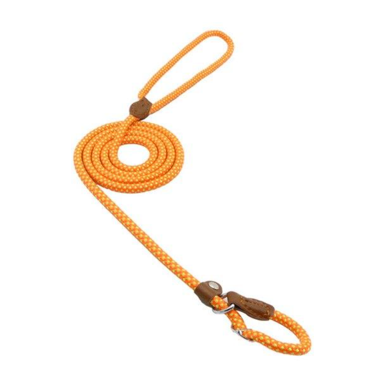 Nylon Dog Walk Set