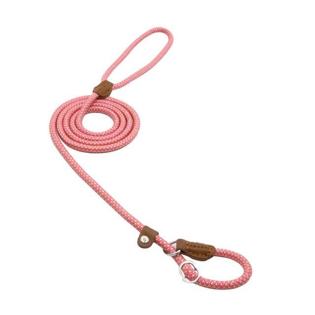 Nylon Dog Walk Set