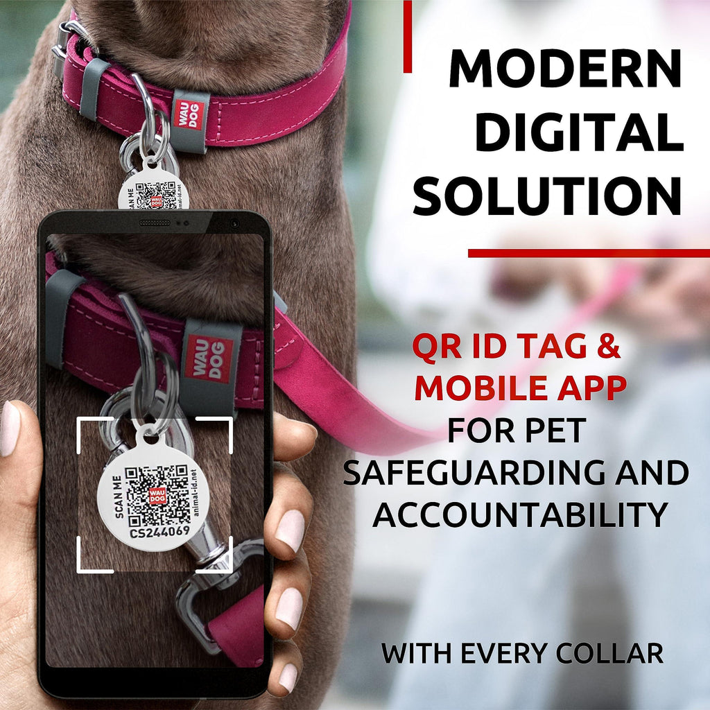 Leather Dog Collar Pink