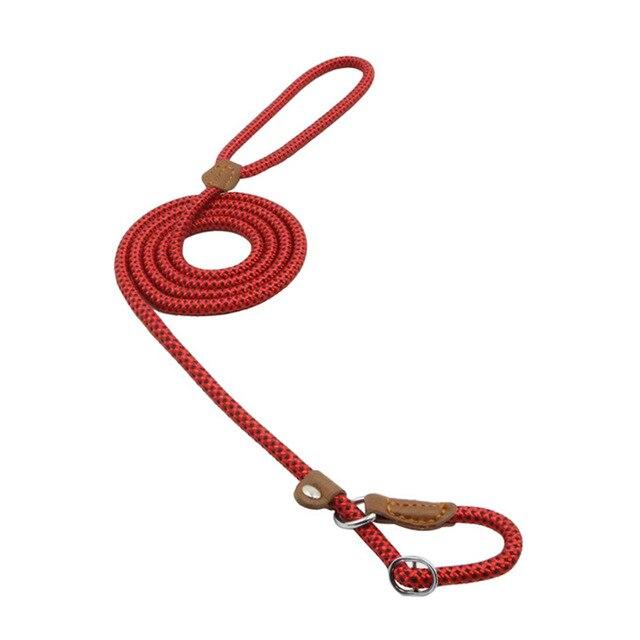 Nylon Dog Walk Set