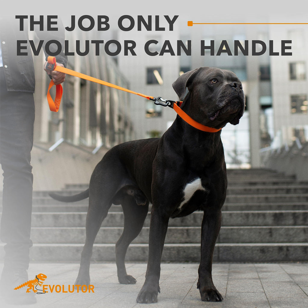 Heavy Duty Dog Leash Orange