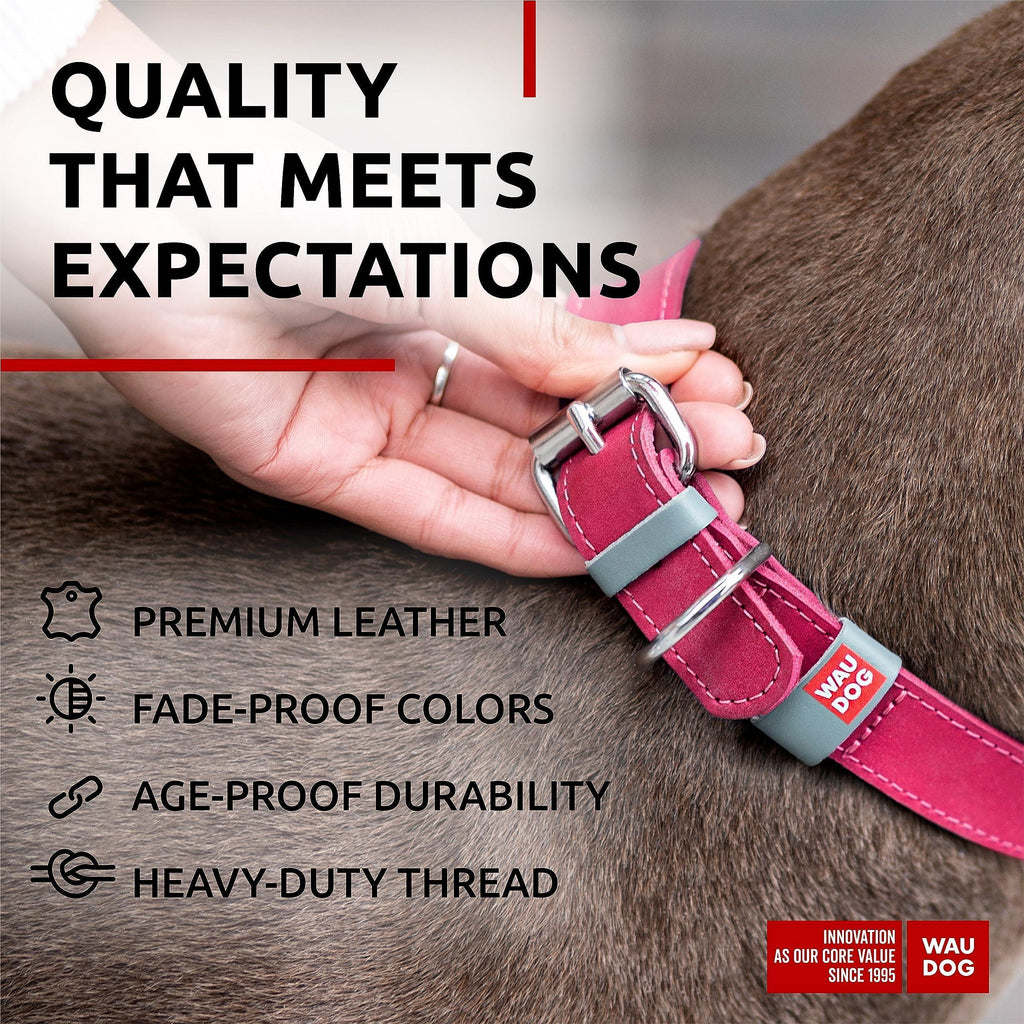 Leather Dog Collar Pink